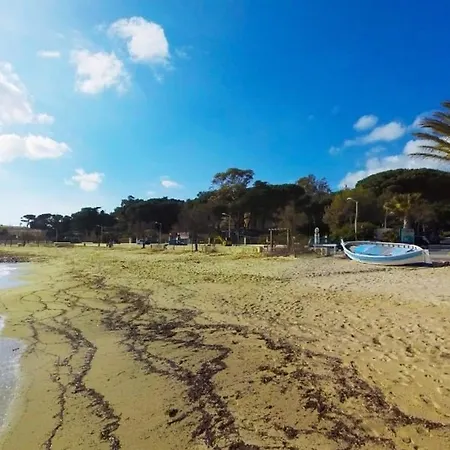 Apartman T2 Avec Terrasse Sud, Climatise, A Proximite - - Fr-1-251-295 *