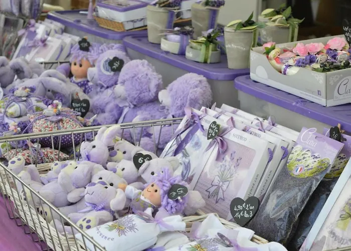 T2 Avec Terrasse Sud, Climatise, A Proximite - - Fr-1-251-295 Lägenhet Le Lavandou