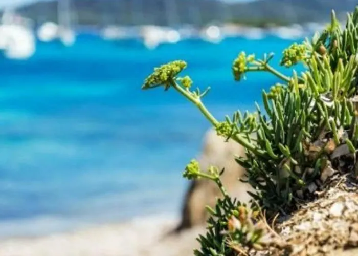 Apartman T2 Avec Terrasse Sud, Climatise, A Proximite - - Fr-1-251-295 *