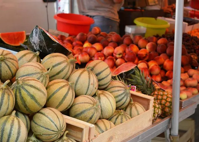 Lägenhet T2 Avec Terrasse Sud, Climatise, A Proximite - - Fr-1-251-295 *